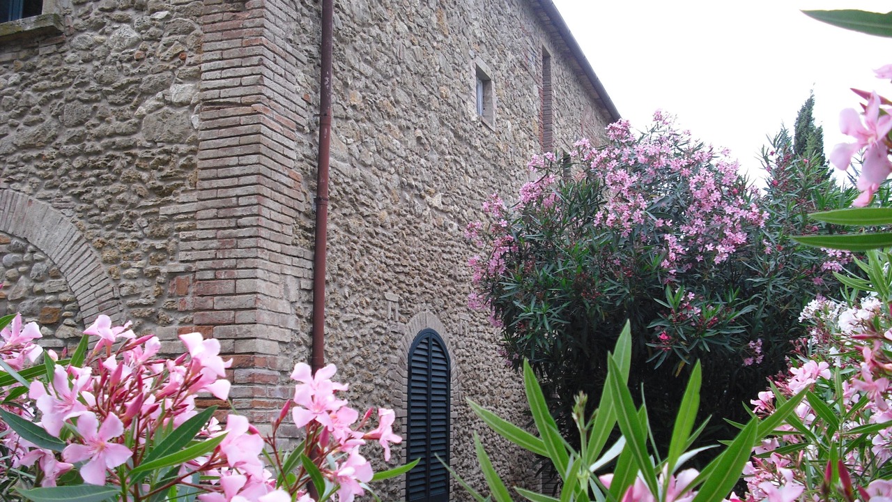 Photo of Outdoor in Bibbona