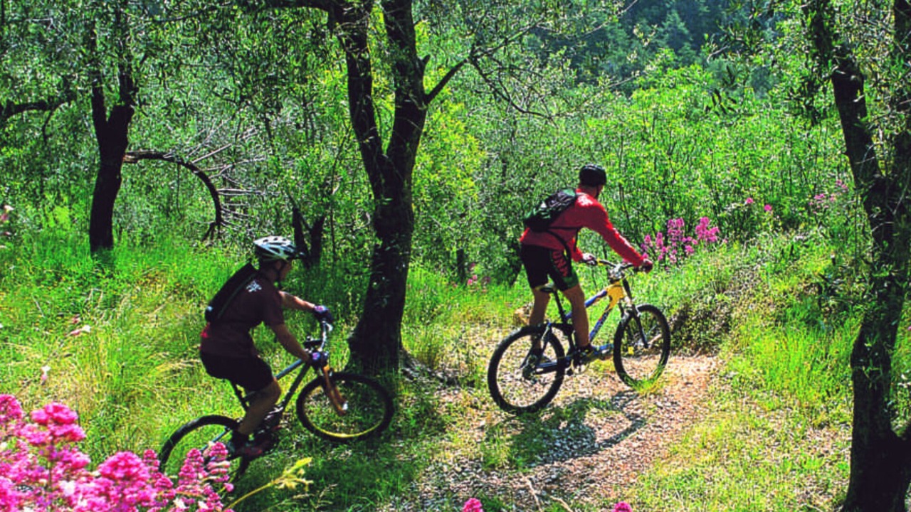 Photo of Outdoor in Roquefort-les-Pins