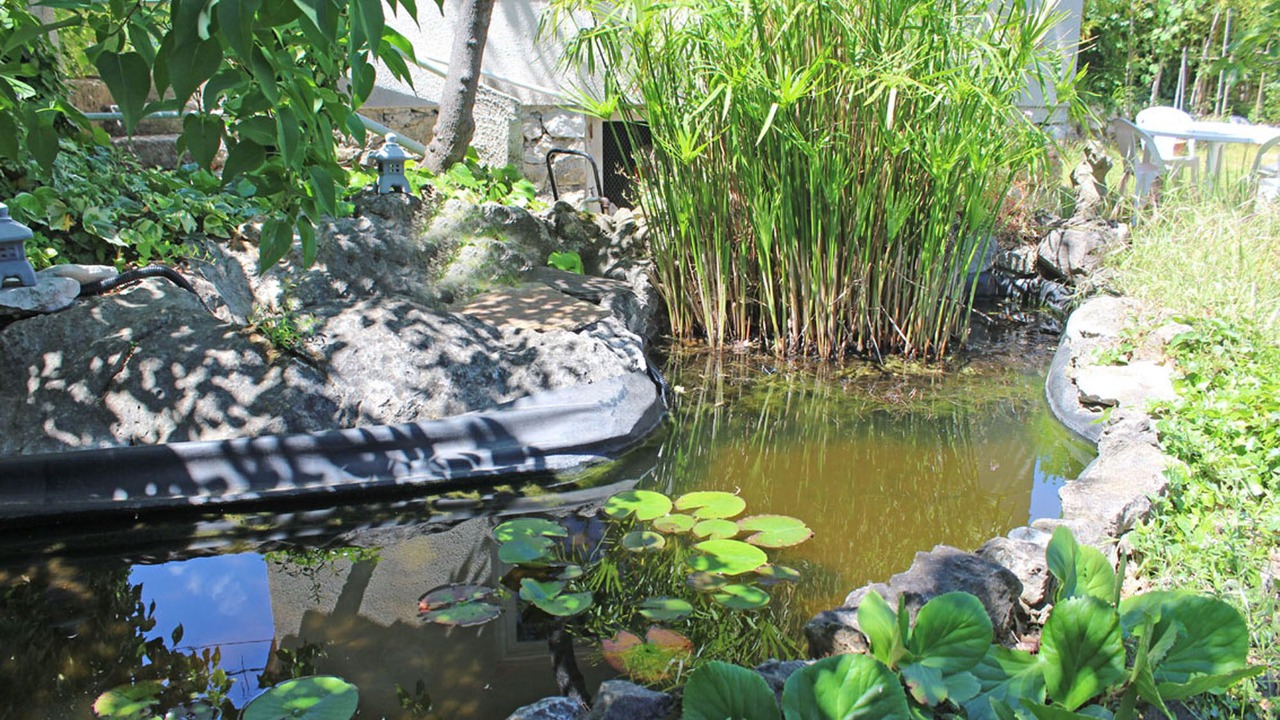 Photo of Outdoor in Roquefort-les-Pins