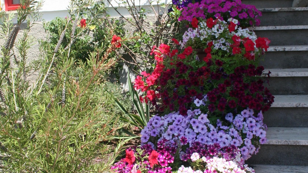 Photo of Outdoor in Campo nell'Elba