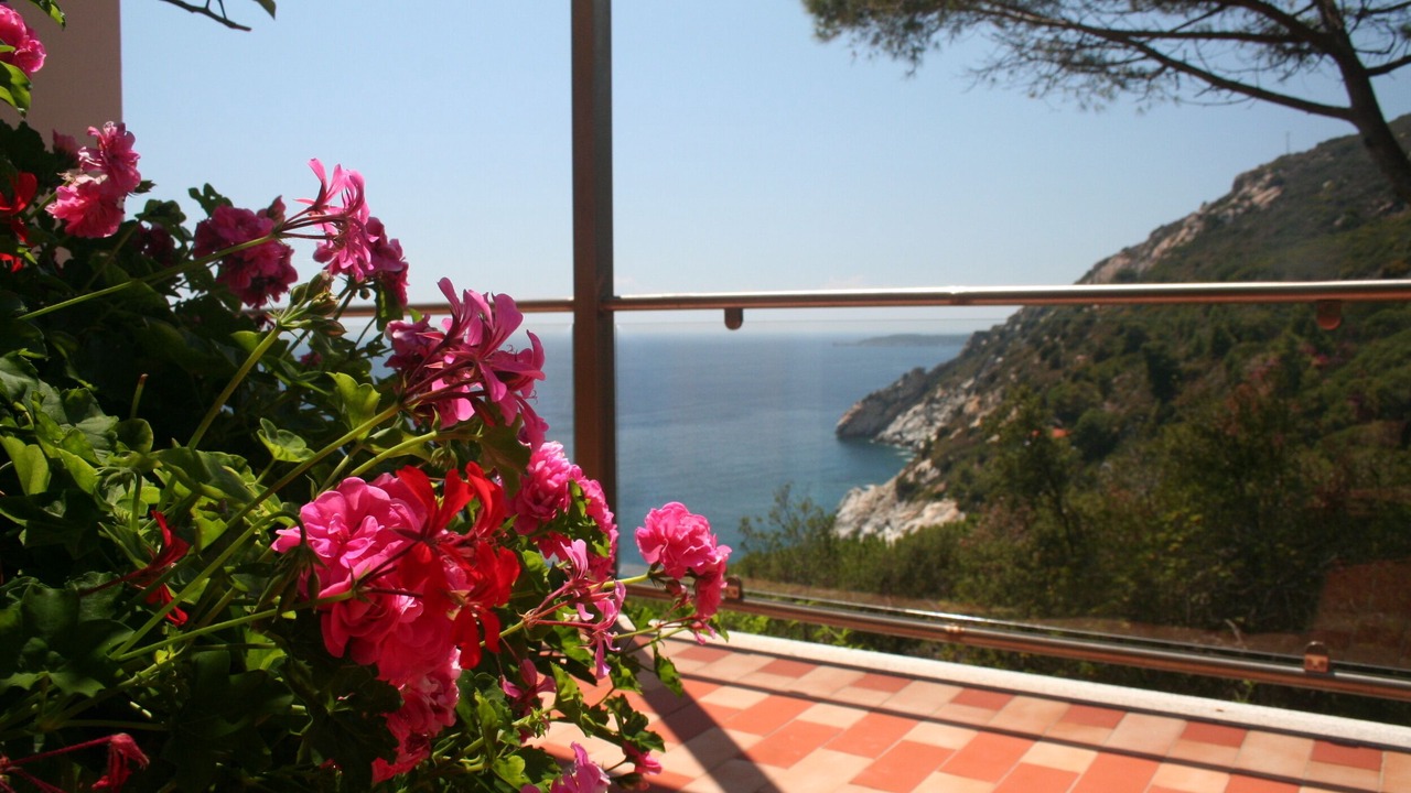Photo of Others in Campo nell'Elba