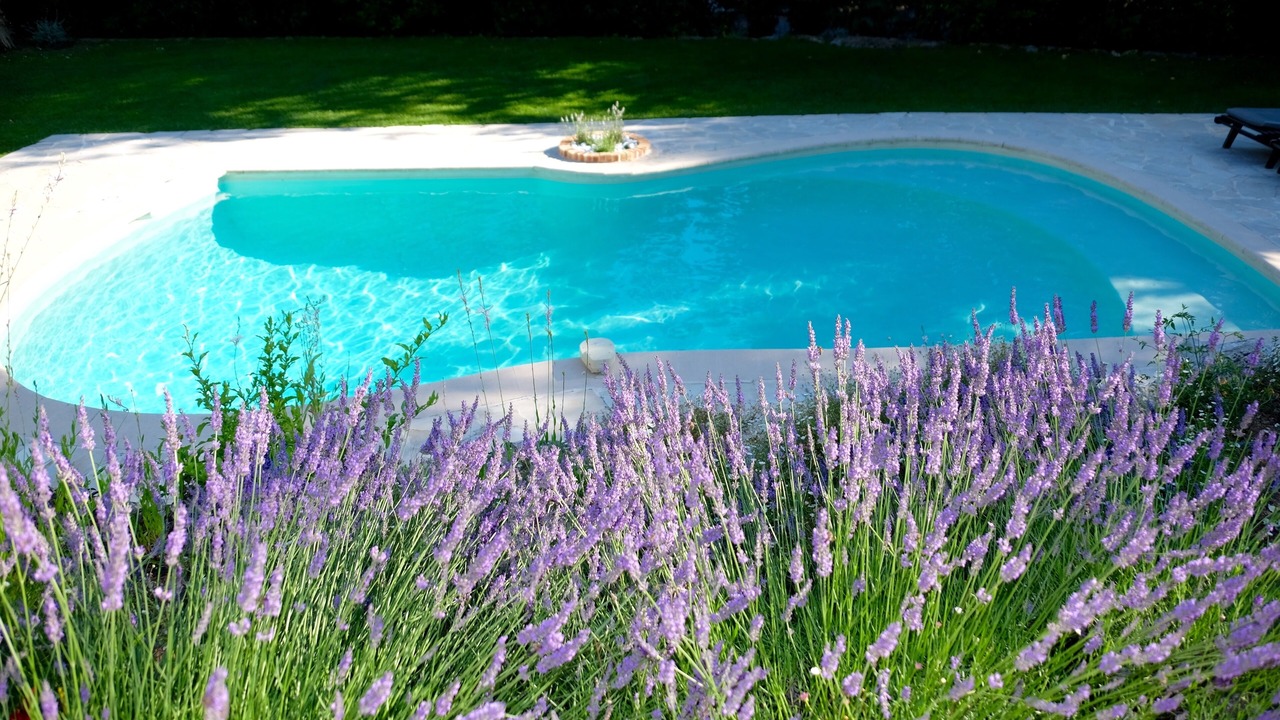Photo of Outdoor in Le Collet