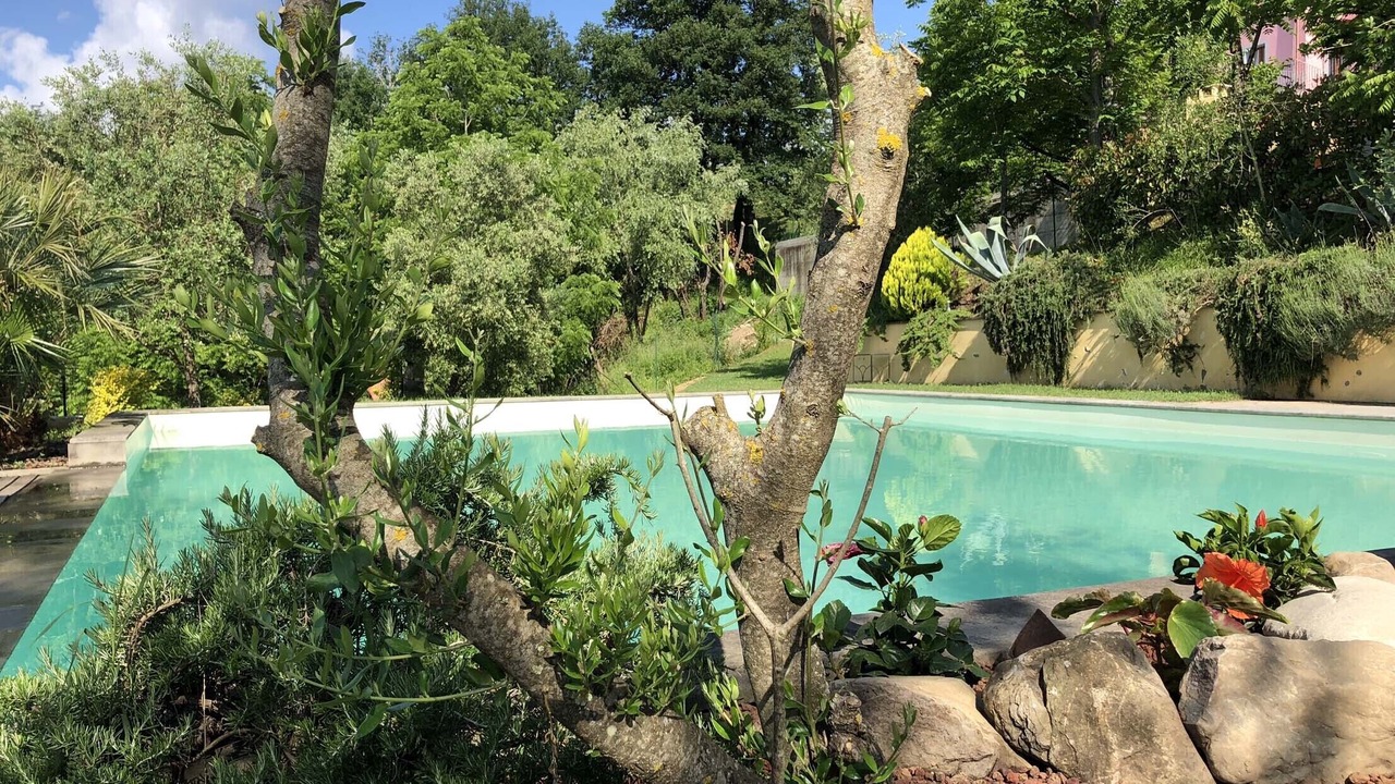 Photo of Outdoor in San Terenzo Monti