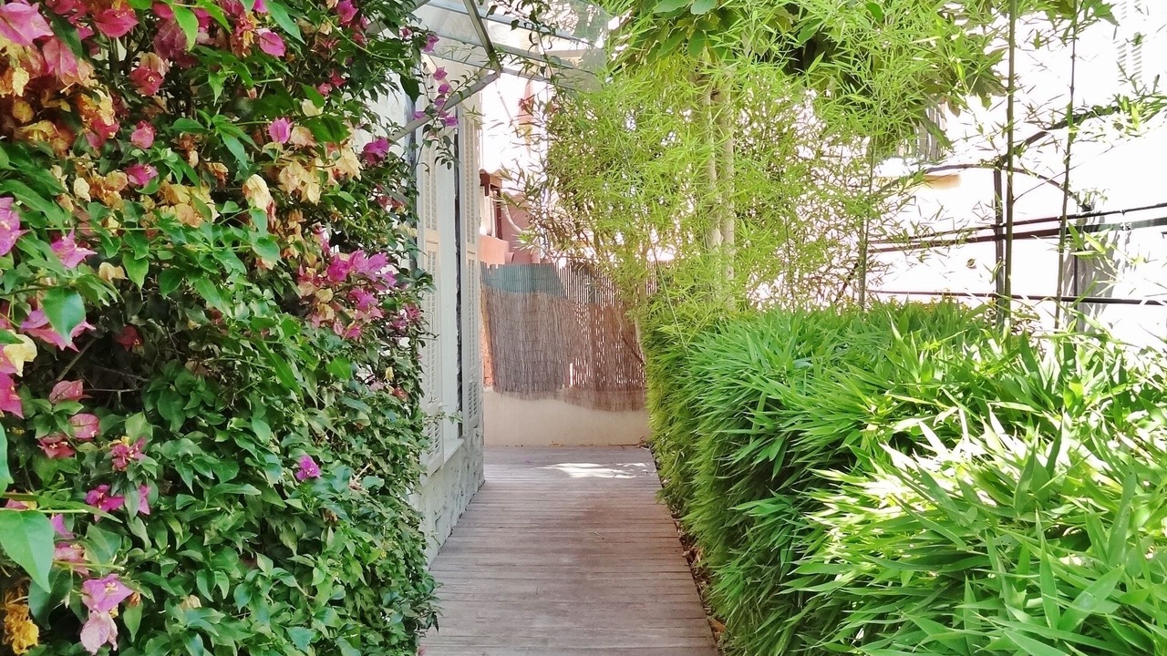 Photo of Outdoor in Cimiez