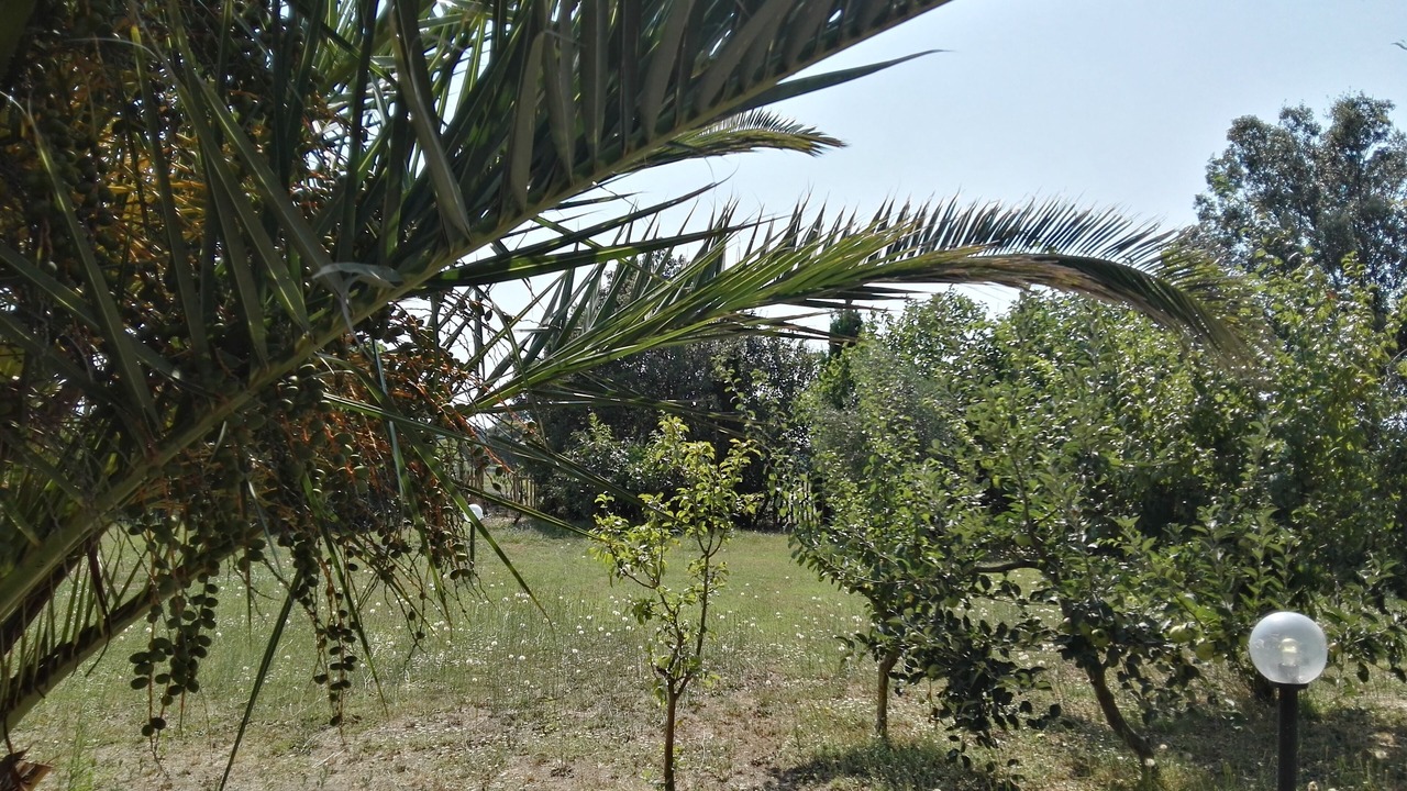 Photo of Outdoor in Campiglia Marittima