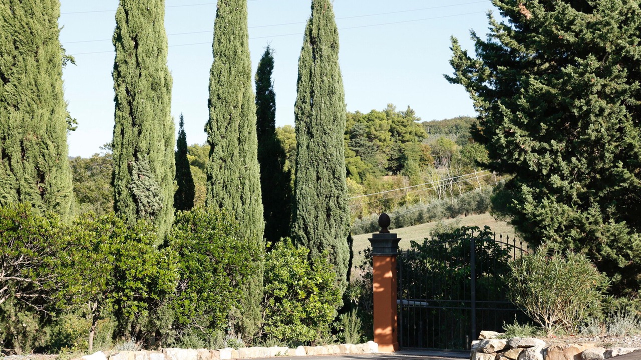 Photo of Outdoor in Castellina Marittima