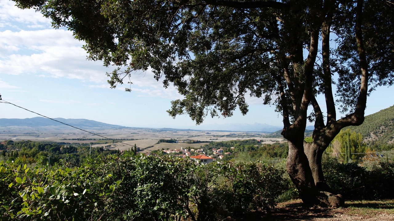 Photo of Outdoor in Castellina Marittima