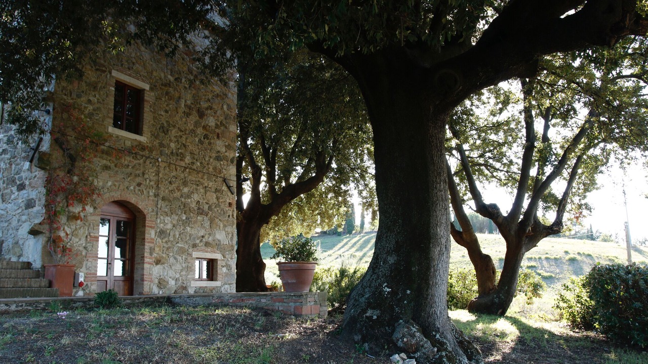 Photo of Outdoor in Castellina Marittima