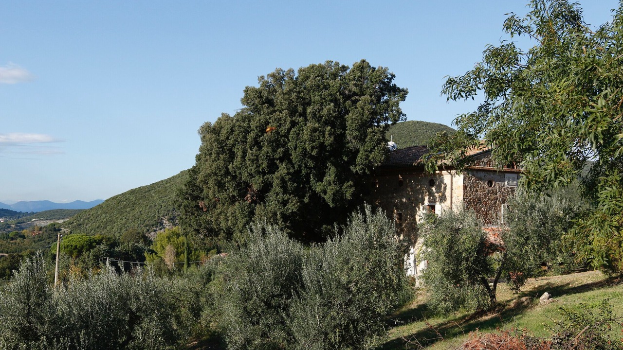 Photo of Outdoor in Castellina Marittima