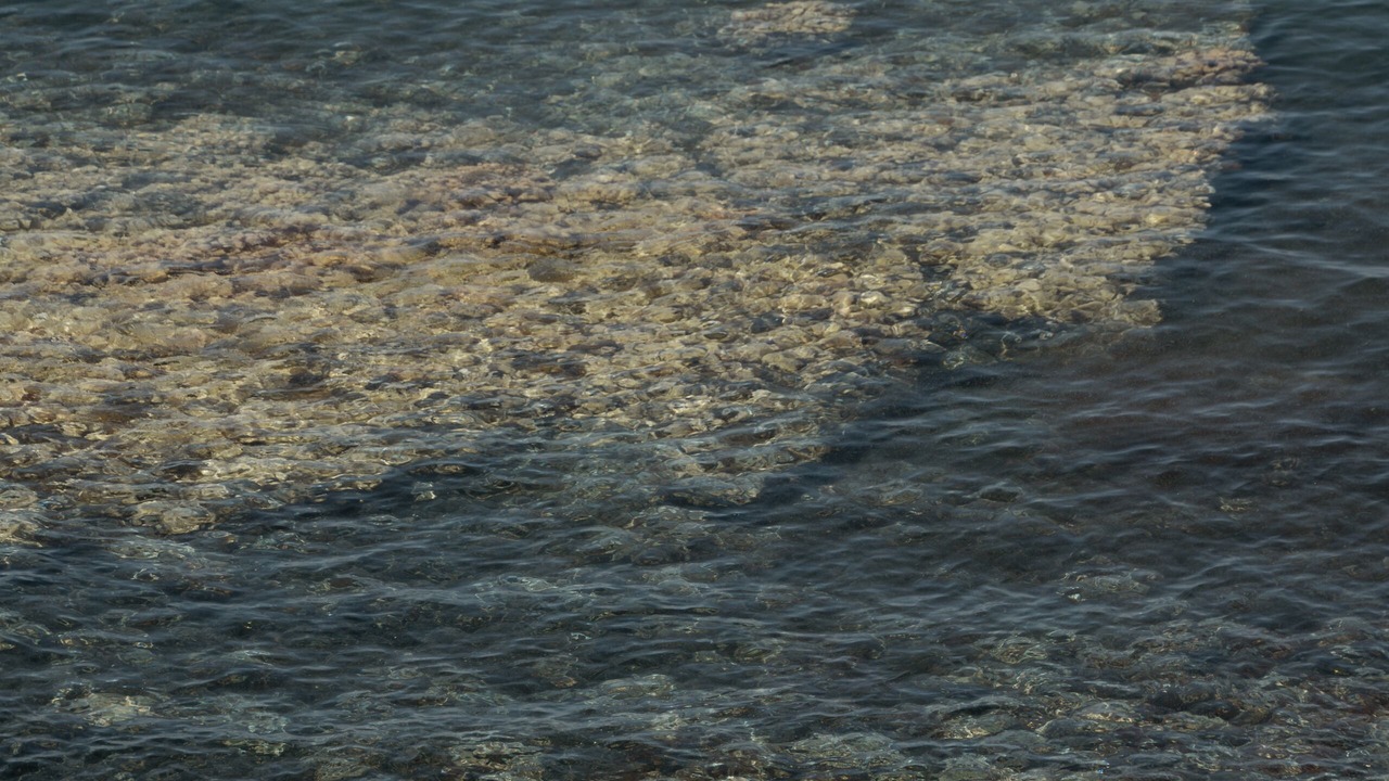 Photo of Others in Akrotiri
