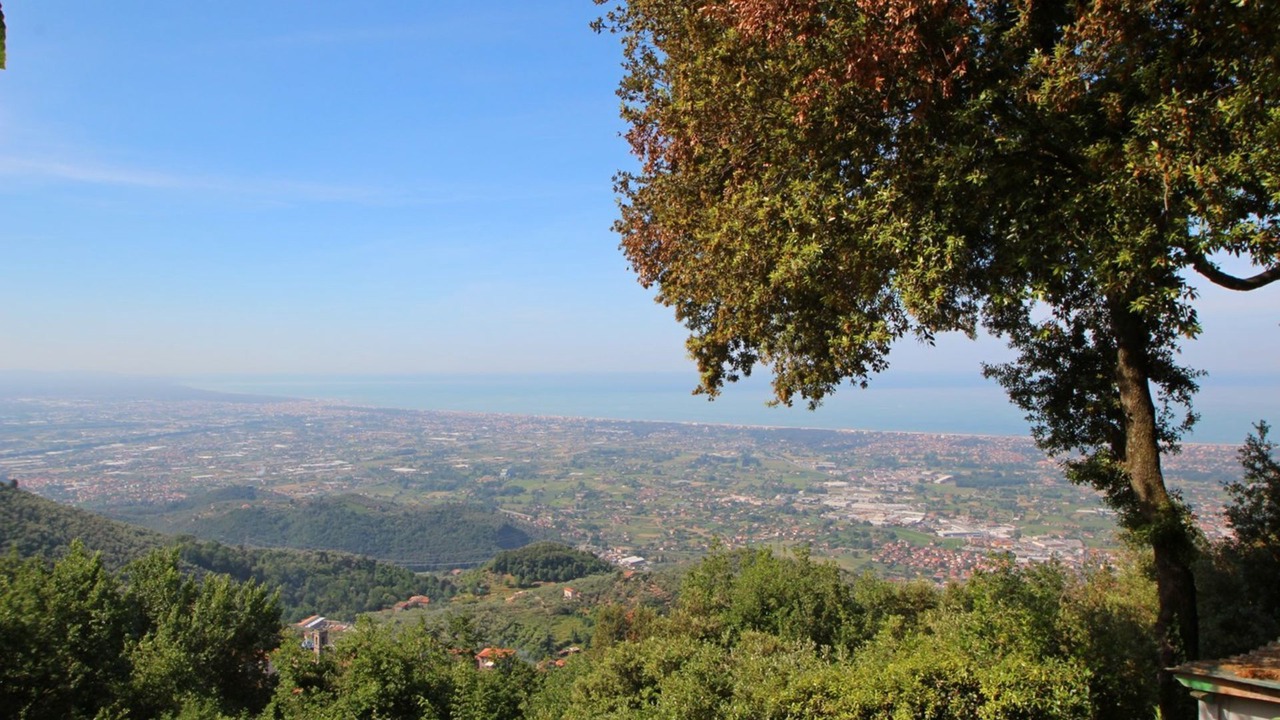 Photo of Others in Pietrasanta