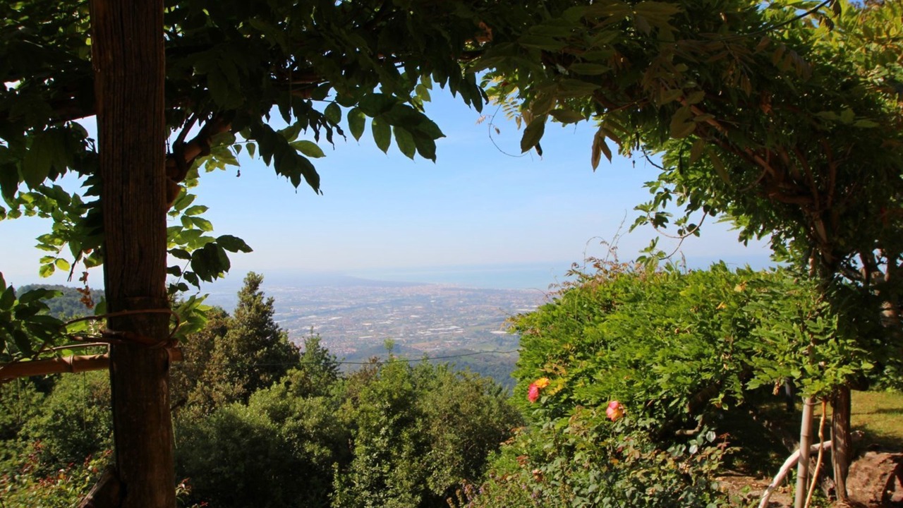 Photo of Others in Pietrasanta