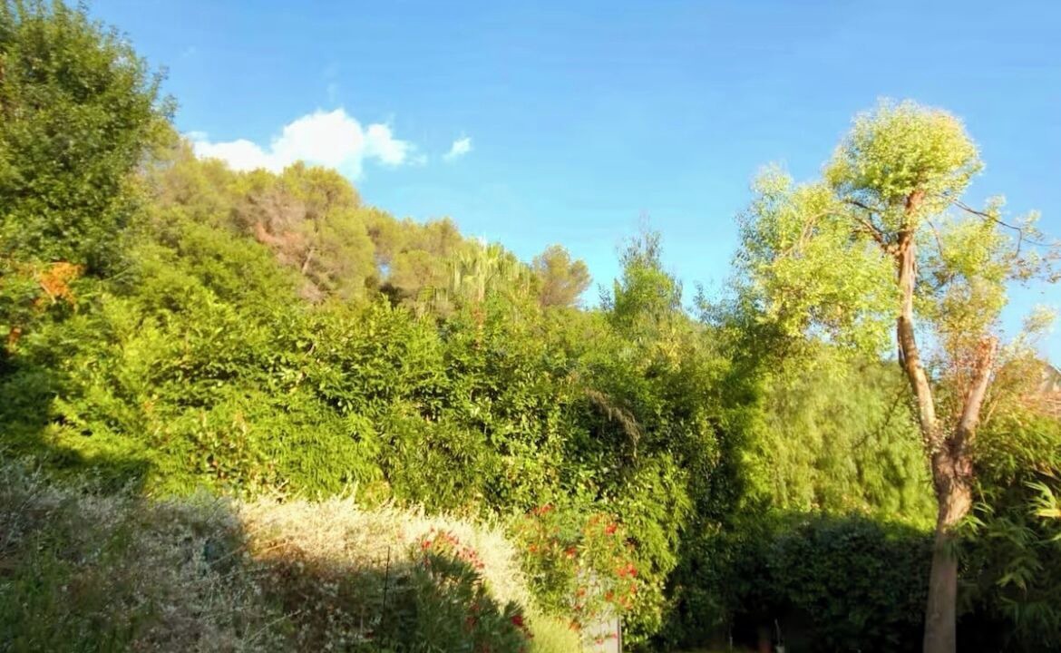 Photo of Outdoor in Saint-Paul-de-Vence