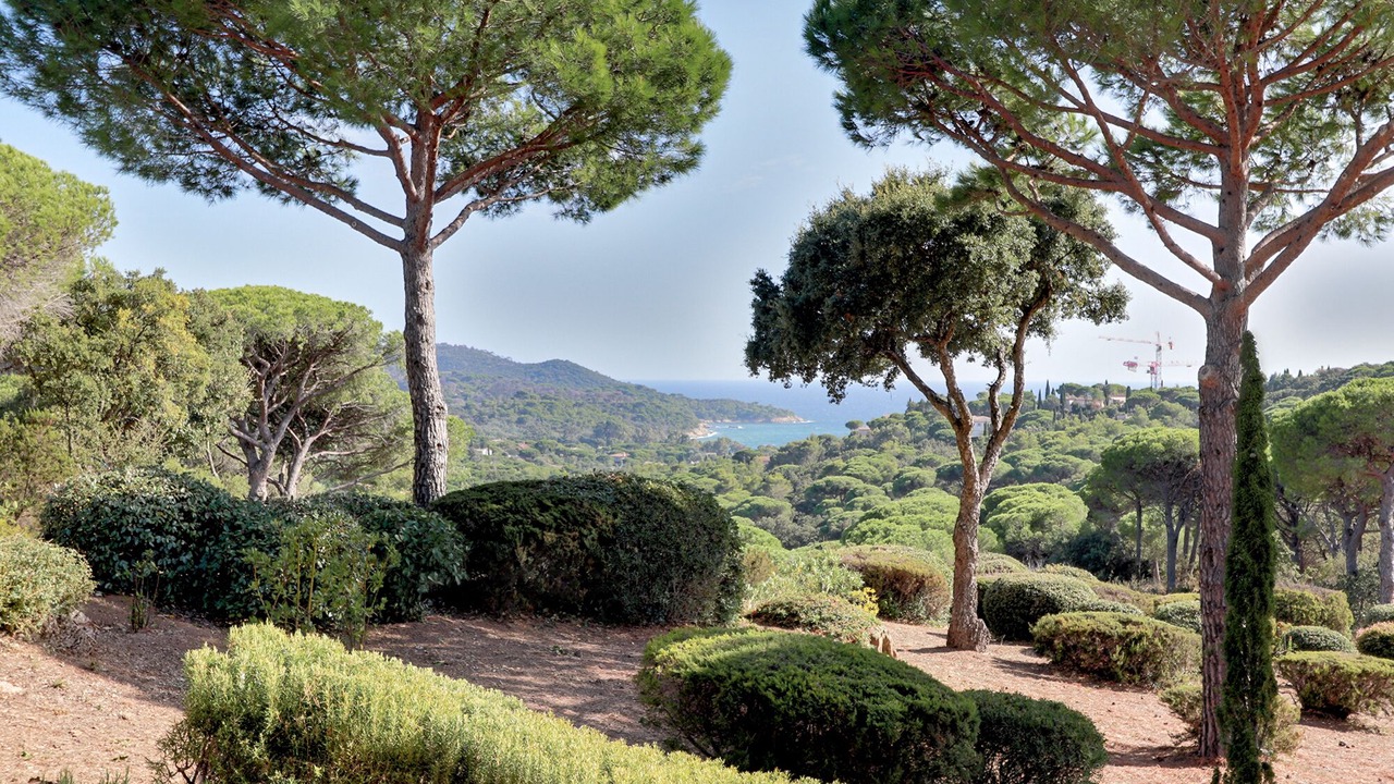 Photo of Outdoor in La Croix-Valmer