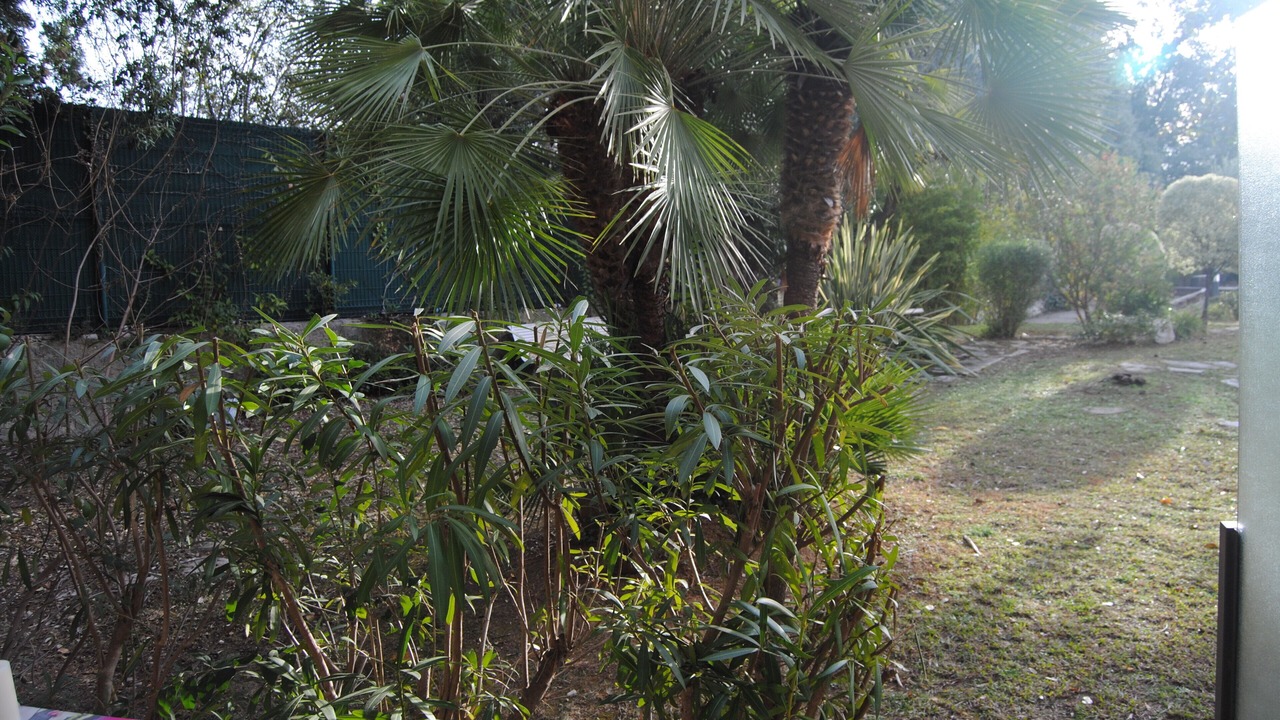 Photo of Outdoor in Caucade