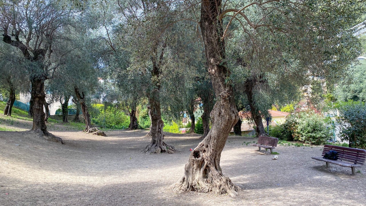 Photo of Outdoor in Menton