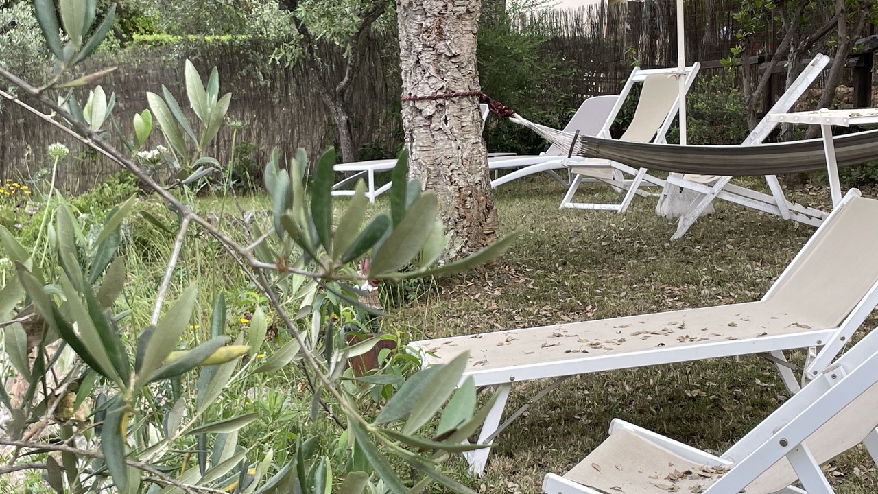 Photo of Outdoor in Procchio