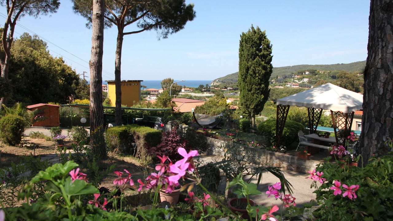 Photo of Outdoor in Procchio