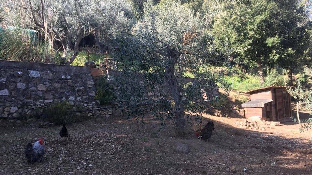 Photo of Outdoor in Procchio