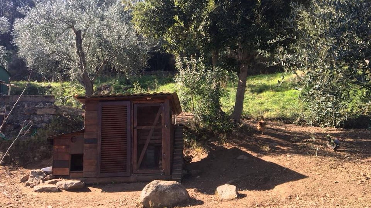 Photo of Outdoor in Procchio