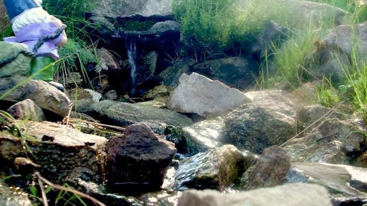 Photo of Outdoor in Procchio