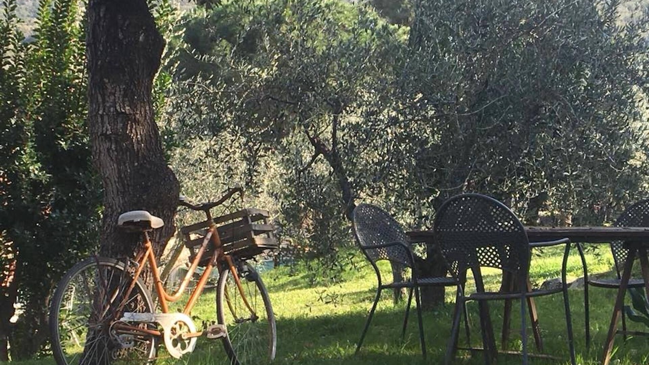 Photo of Outdoor in Procchio