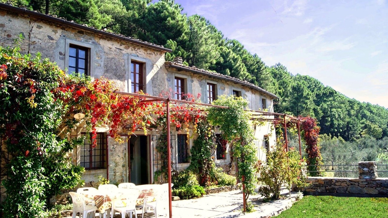 Photo of Outdoor in Buti