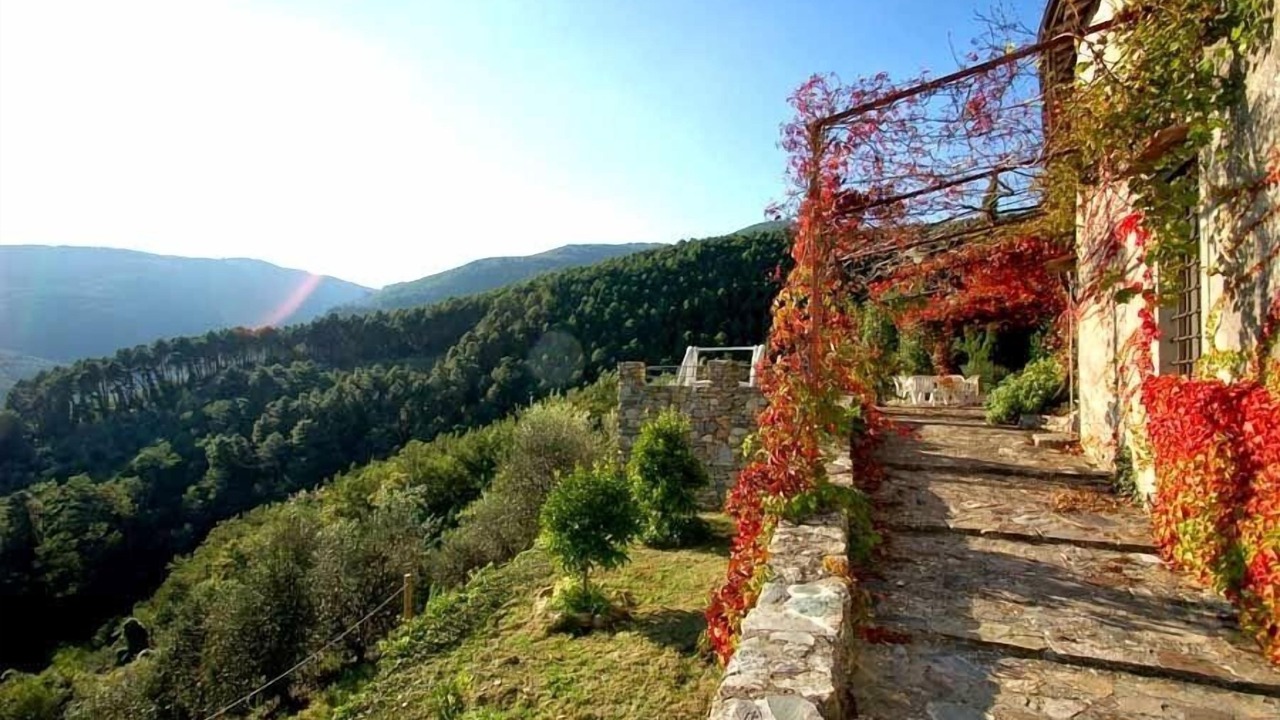 Photo of Outdoor in Buti