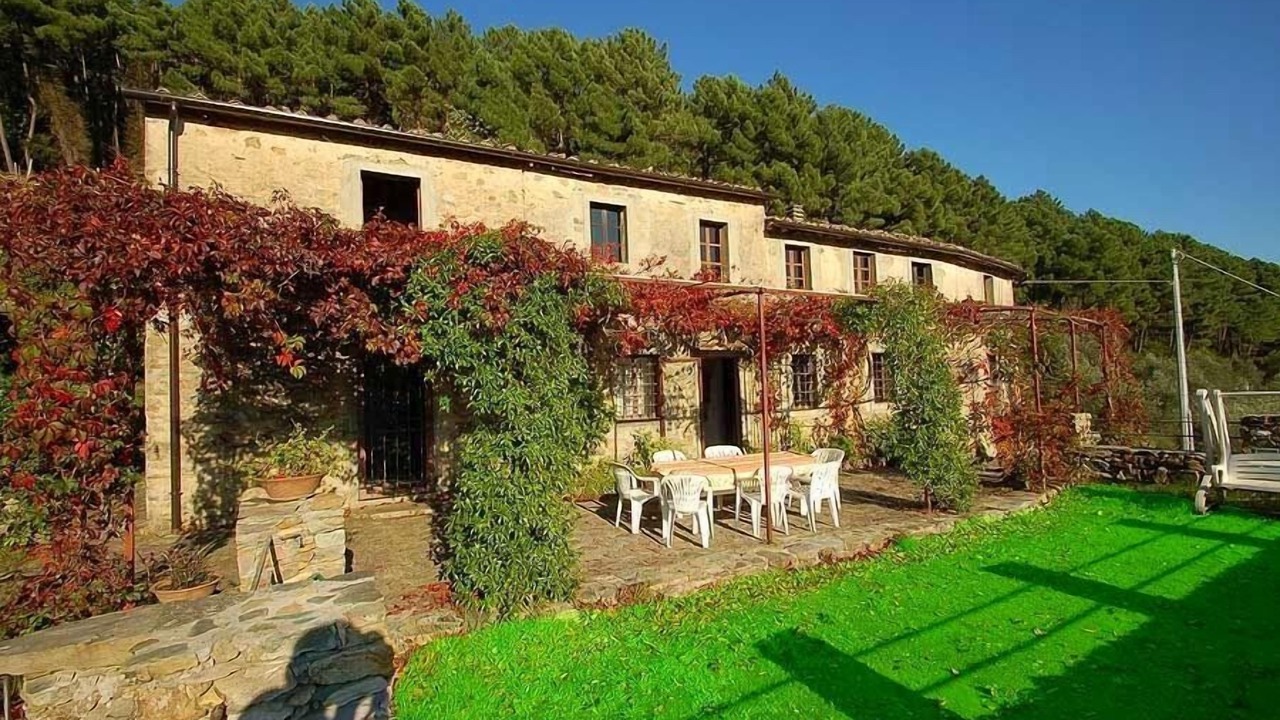 Photo of Outdoor in Buti