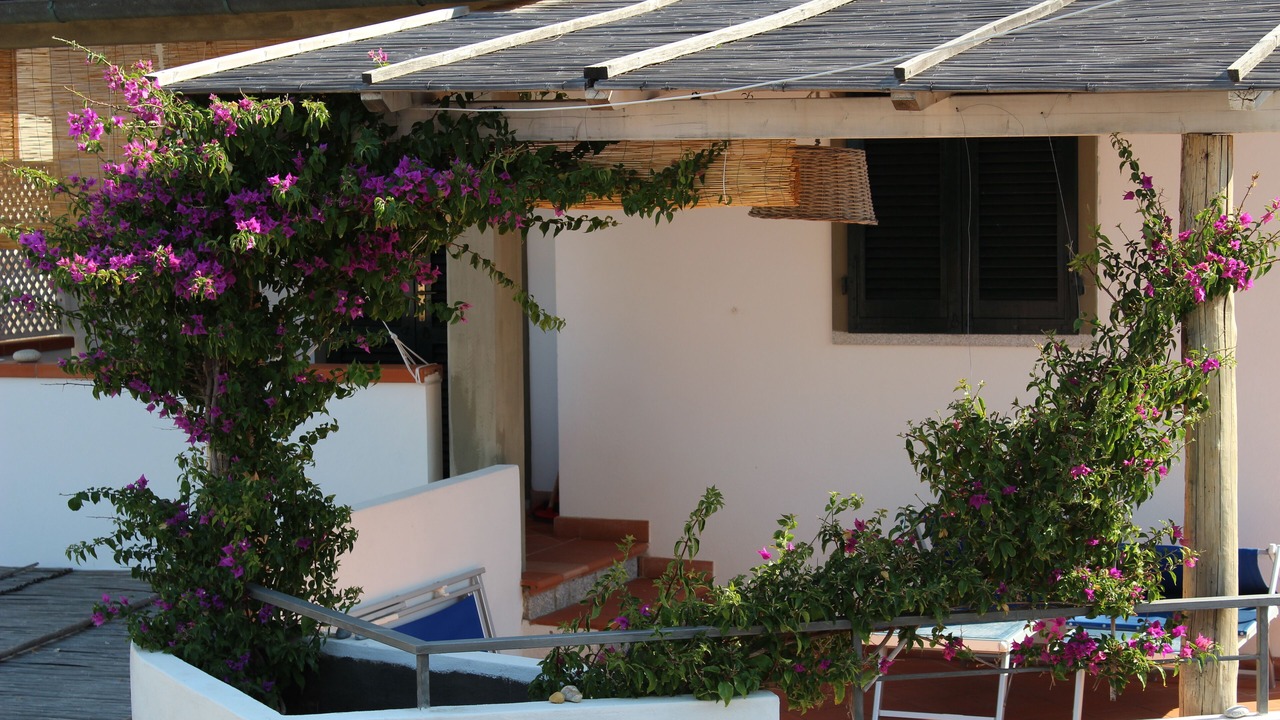 Photo of Outdoor in Chiessi