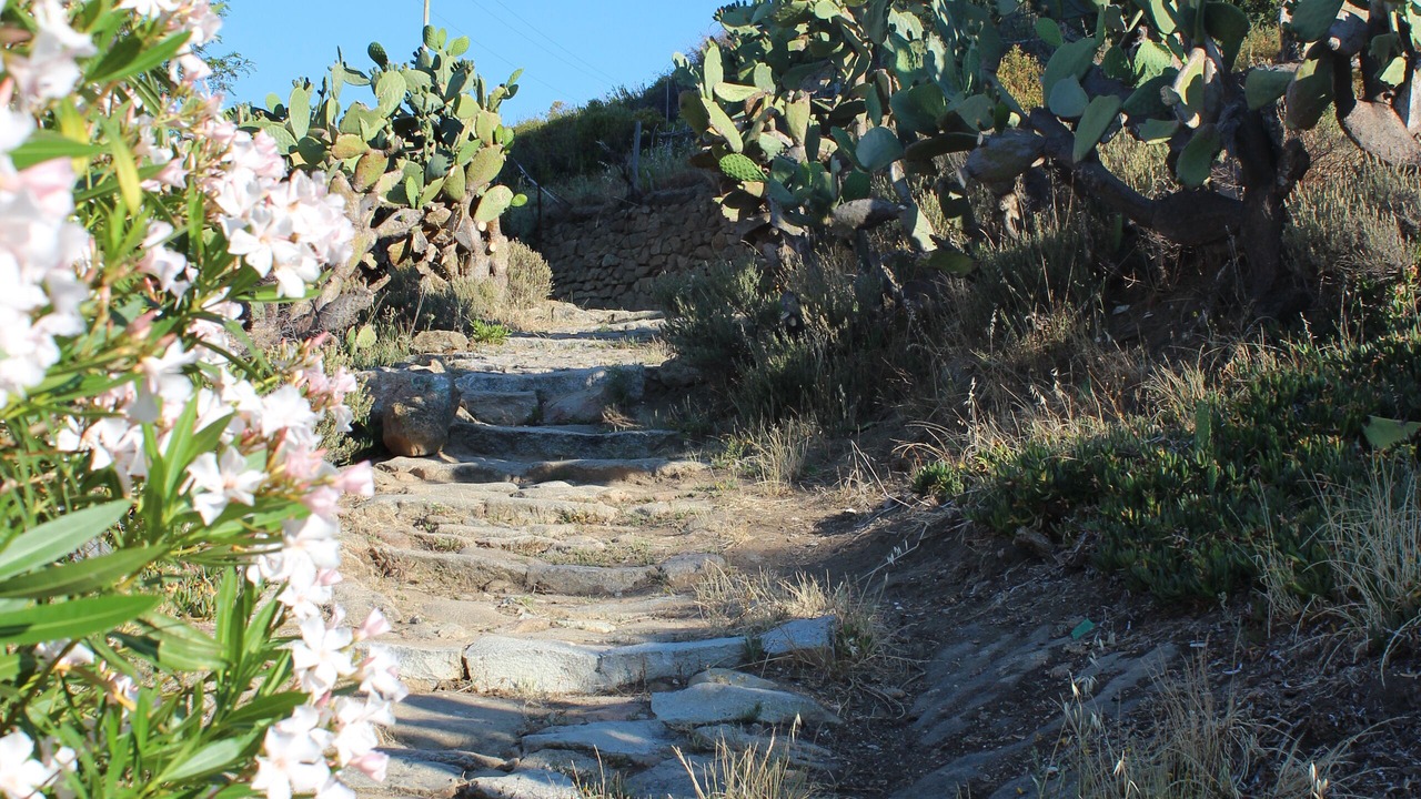 Photo of Outdoor in Chiessi