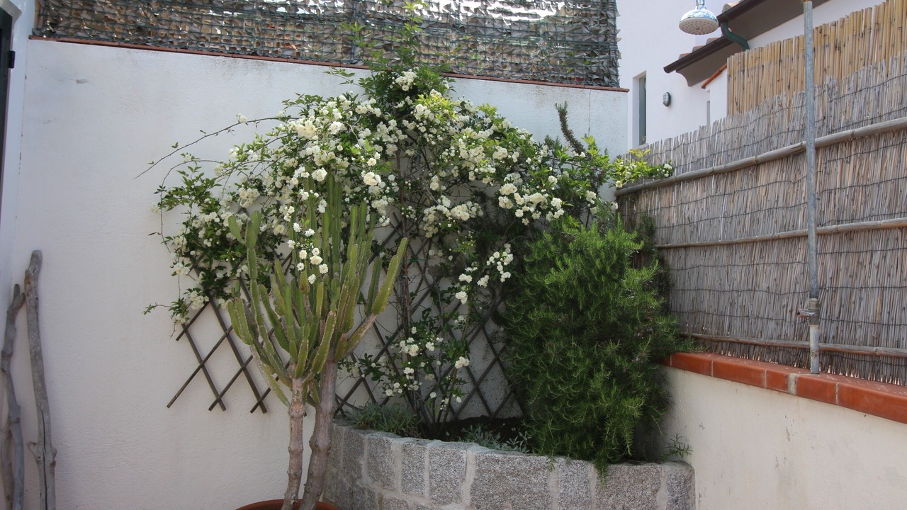 Photo of Outdoor in Chiessi