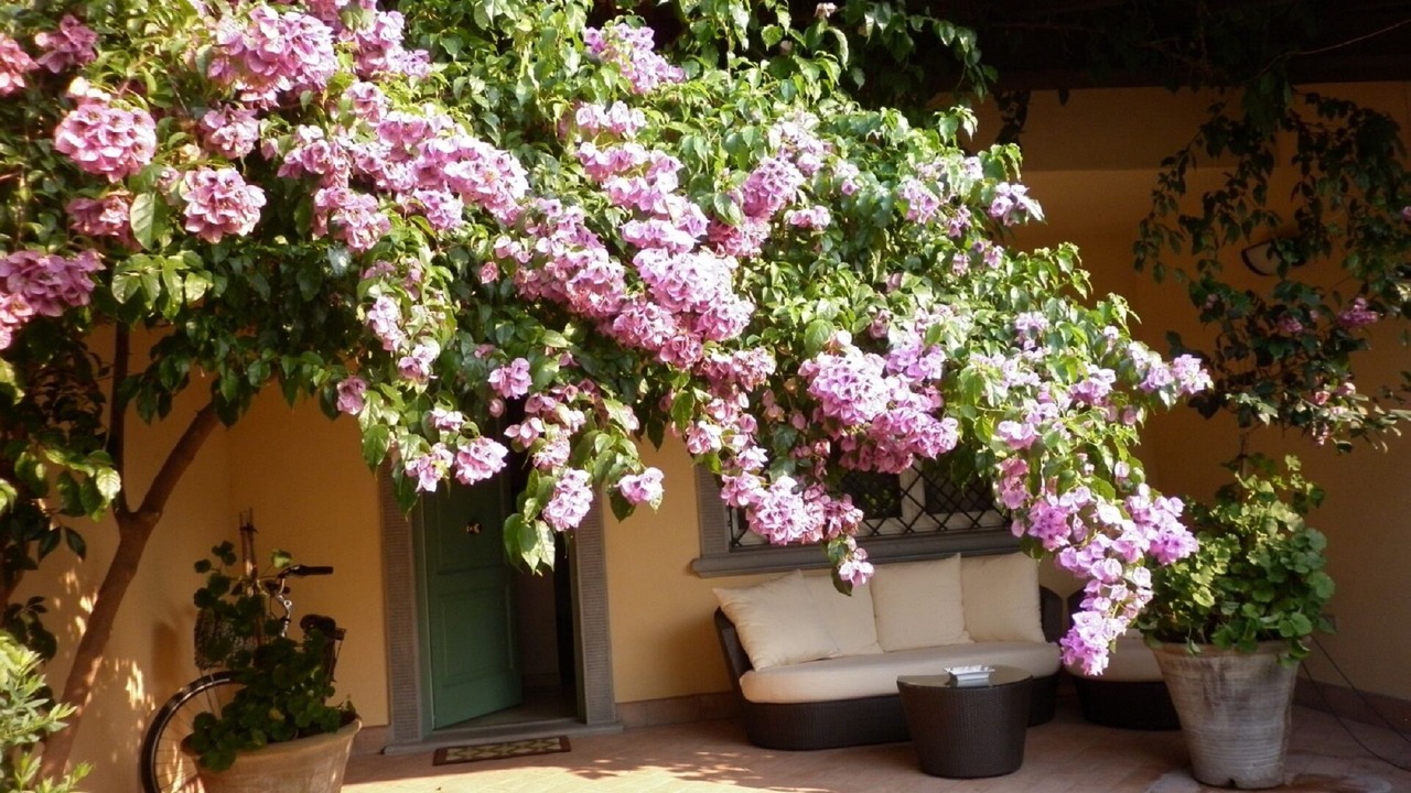 Photo of Patio Balcony in Seravezza