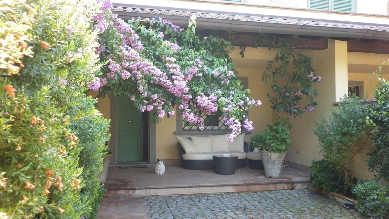 Photo of Outdoor in Seravezza