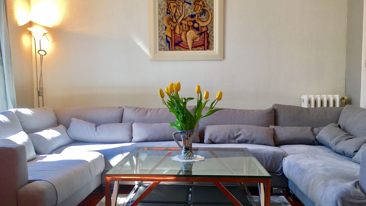 Photo of Livingroom in Riou - Petit Juas - Av de Grasse