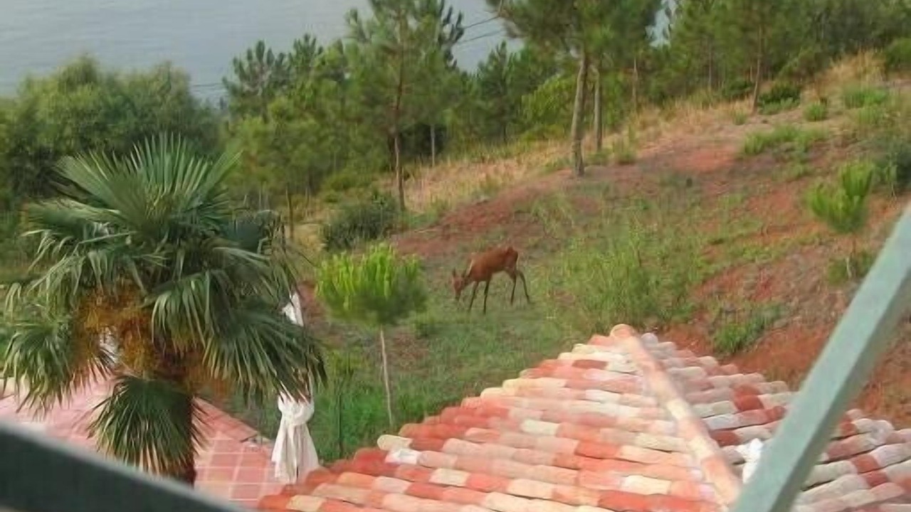 Photo of Outdoor in Theoule-sur-Mer