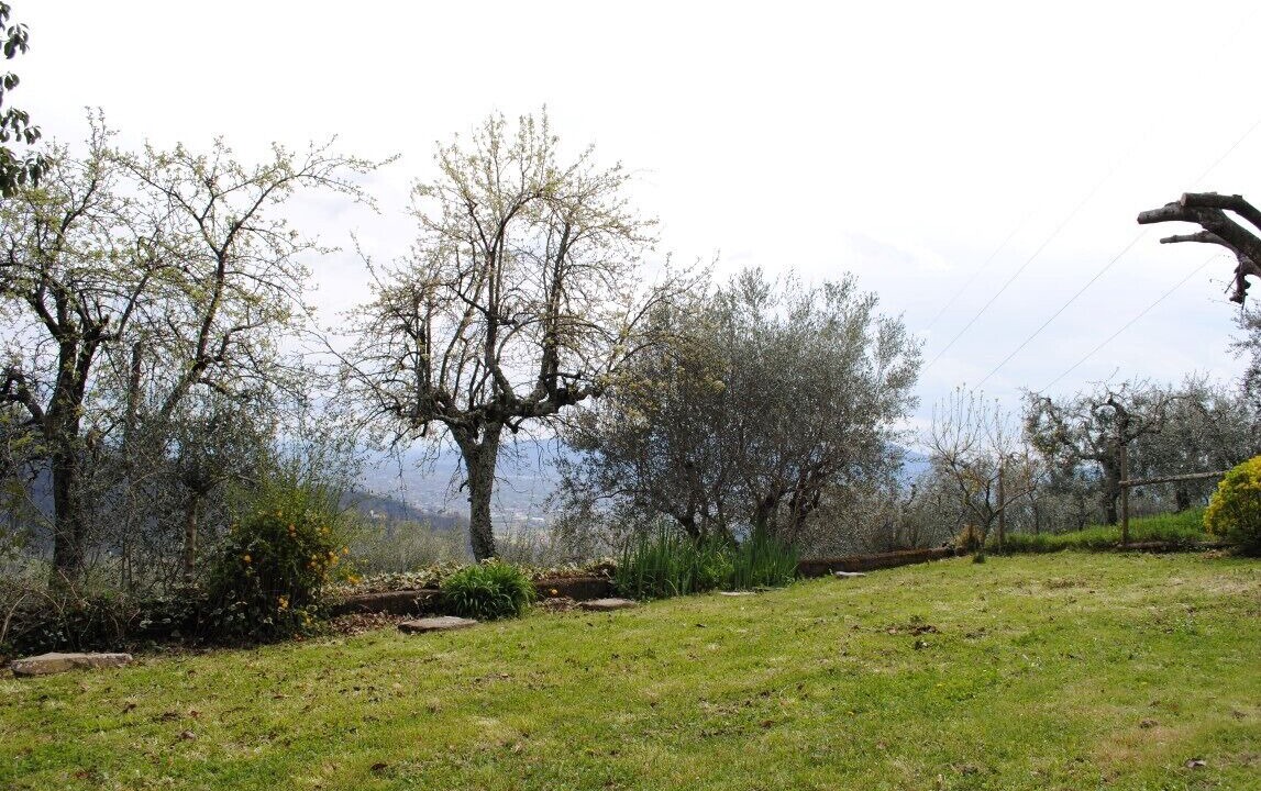 Photo of Outdoor in Gignano di Brancoli