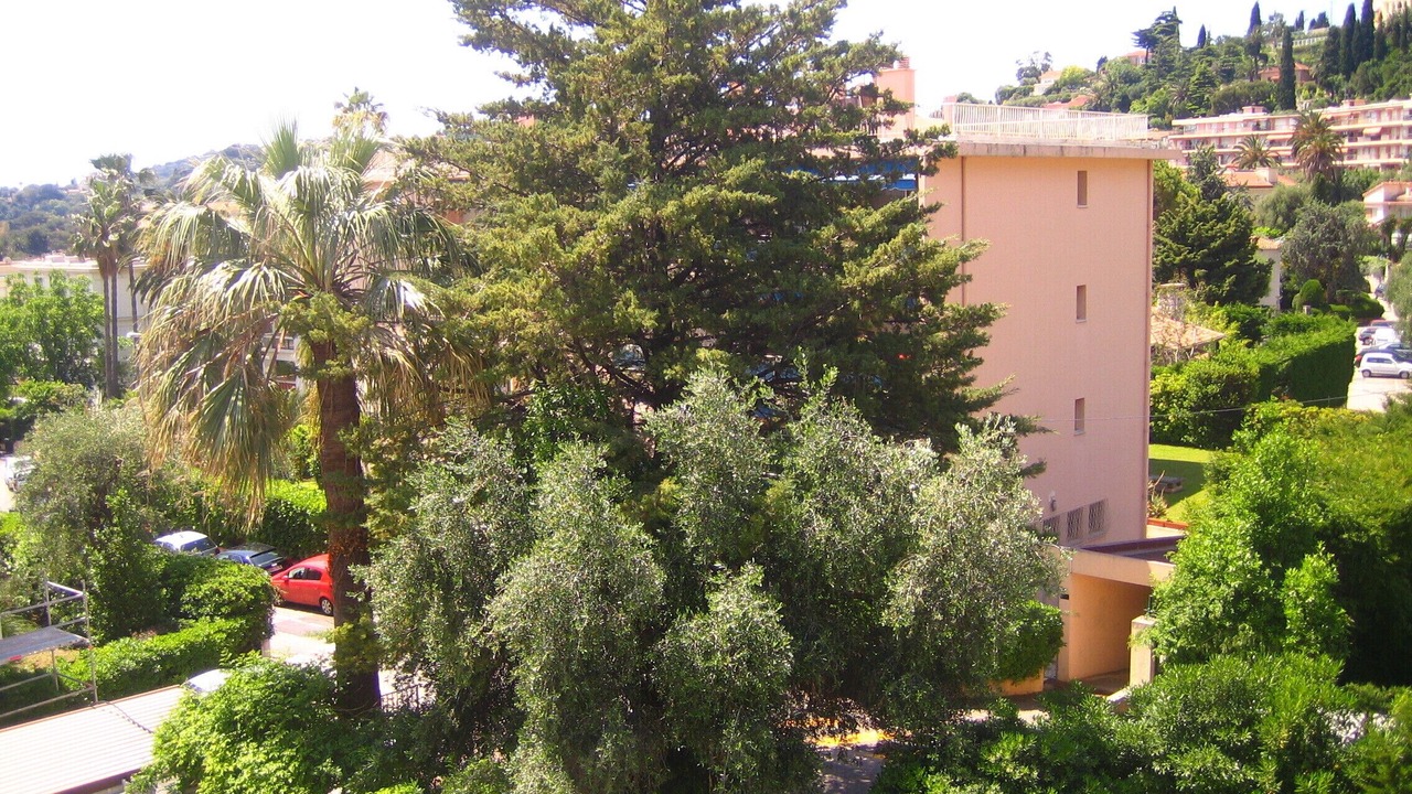 Photo of Others in Beaulieu-sur-Mer