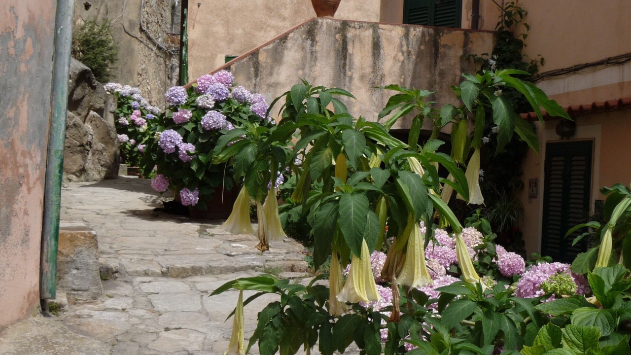 Photo of Outdoor in Marciana