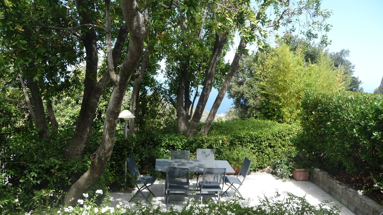 Photo of Outdoor in Marciana