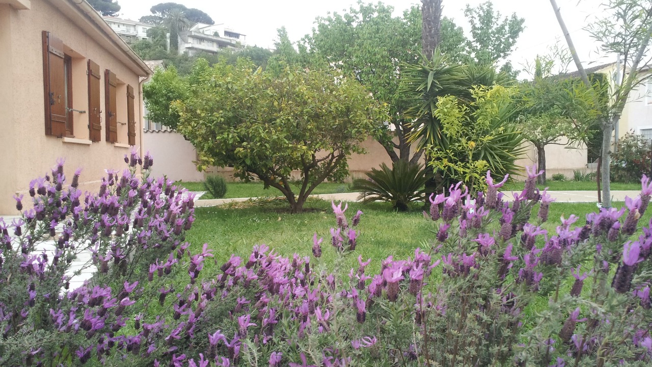 Photo of Outdoor in Cannes La Bocca