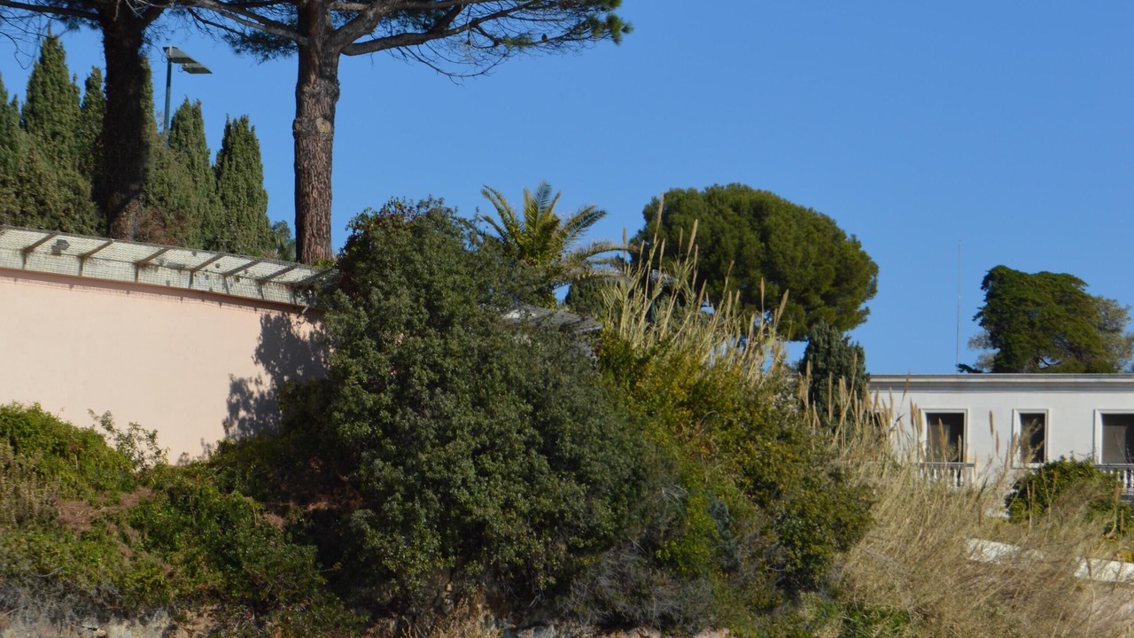 Photo of Others in Vallauris