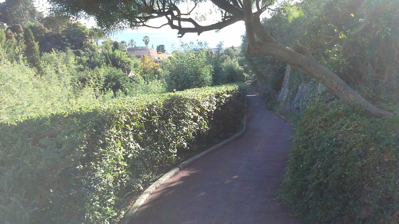 Photo of Outdoor in La Croix des Gardes