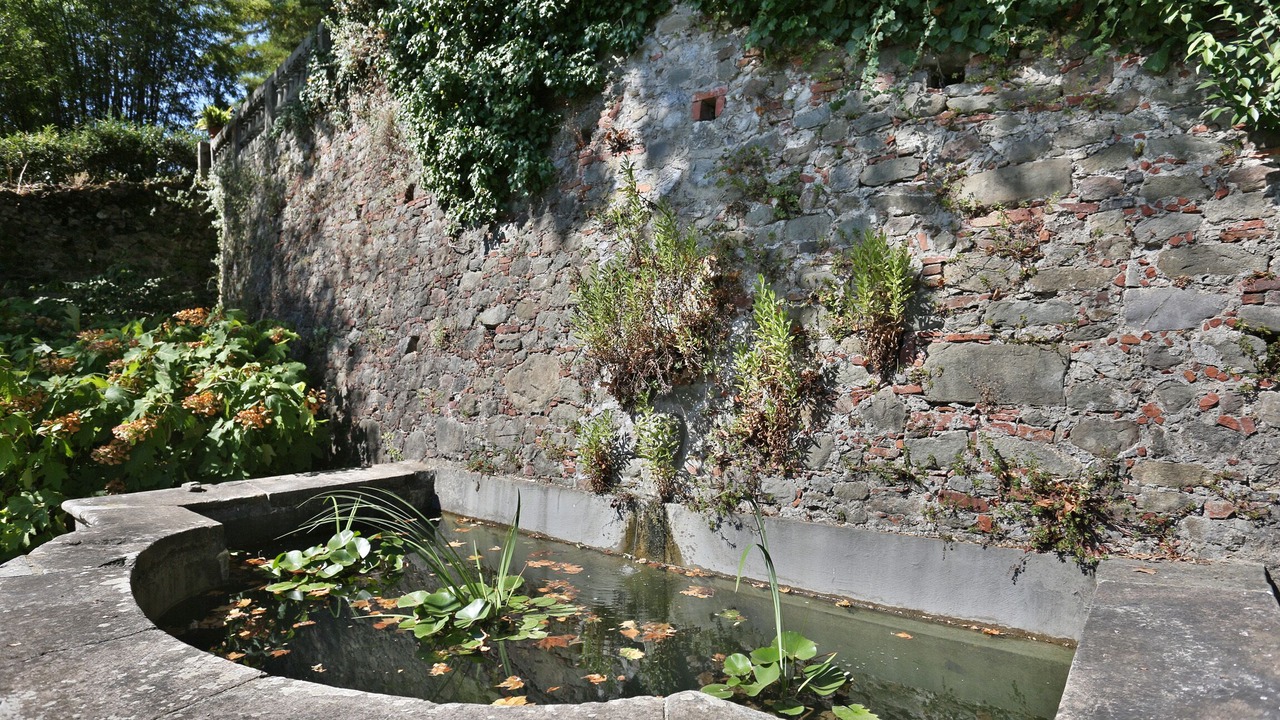 Photo of Outdoor in Nozanno
