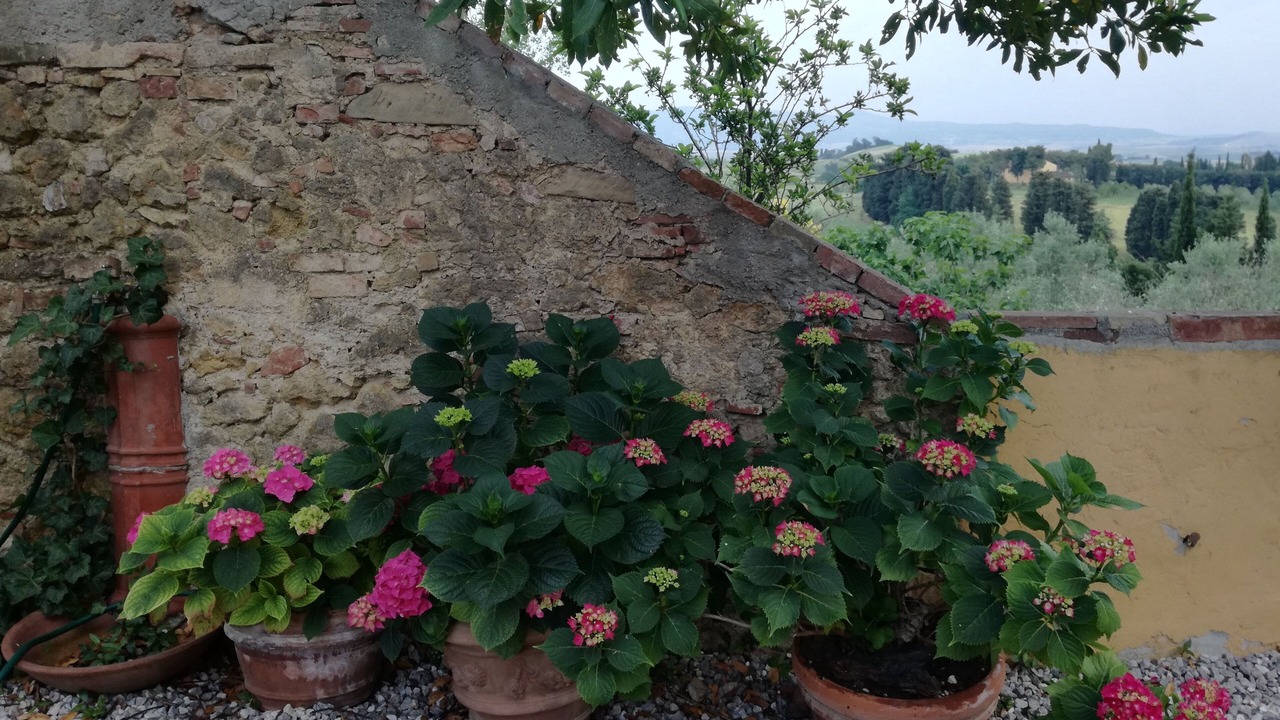 Photo of Outdoor in Orciano Pisano