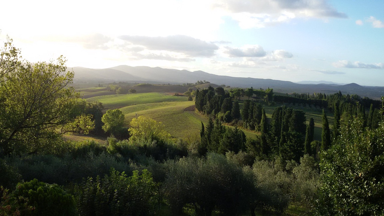 Photo of Others in Orciano Pisano