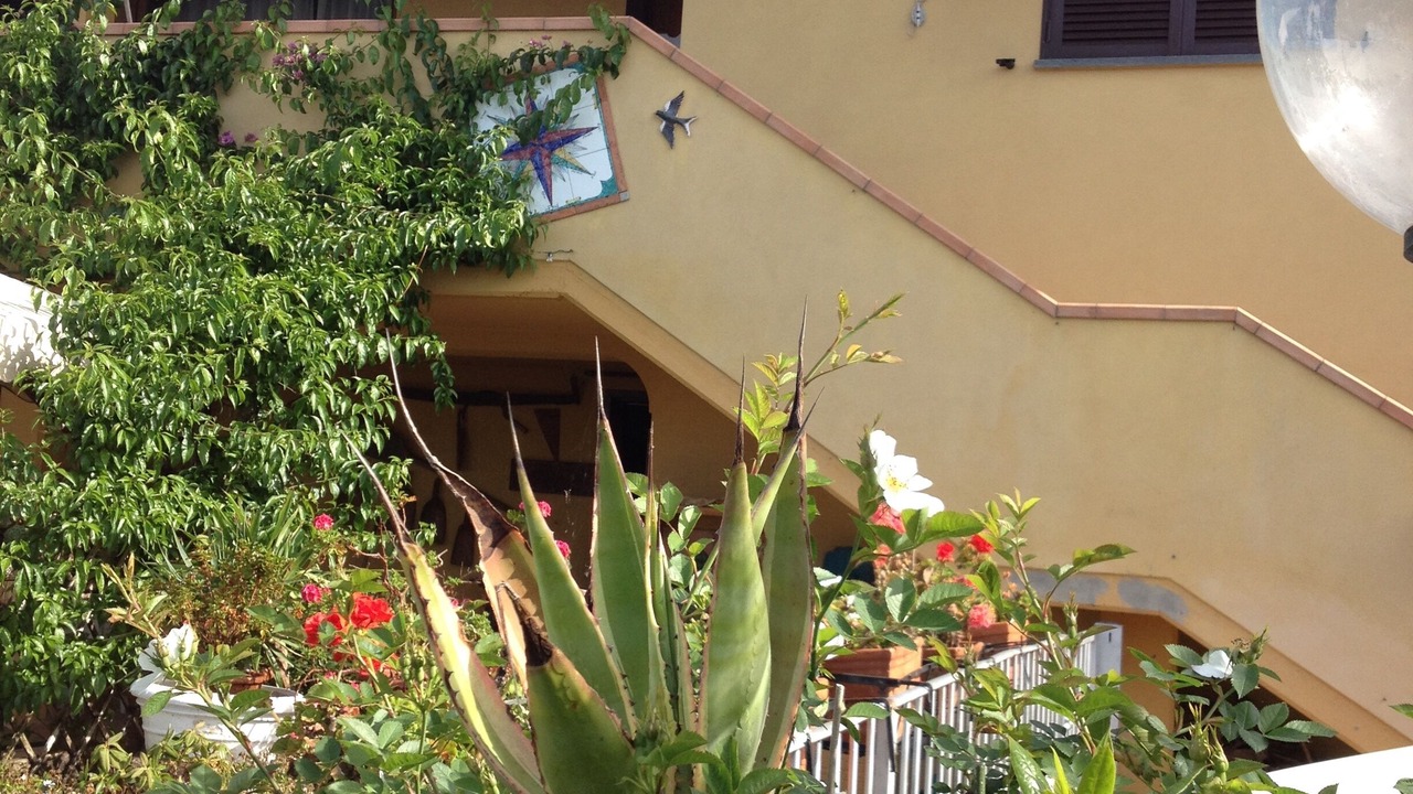 Photo of Outdoor in Corsanico-Bargecchia