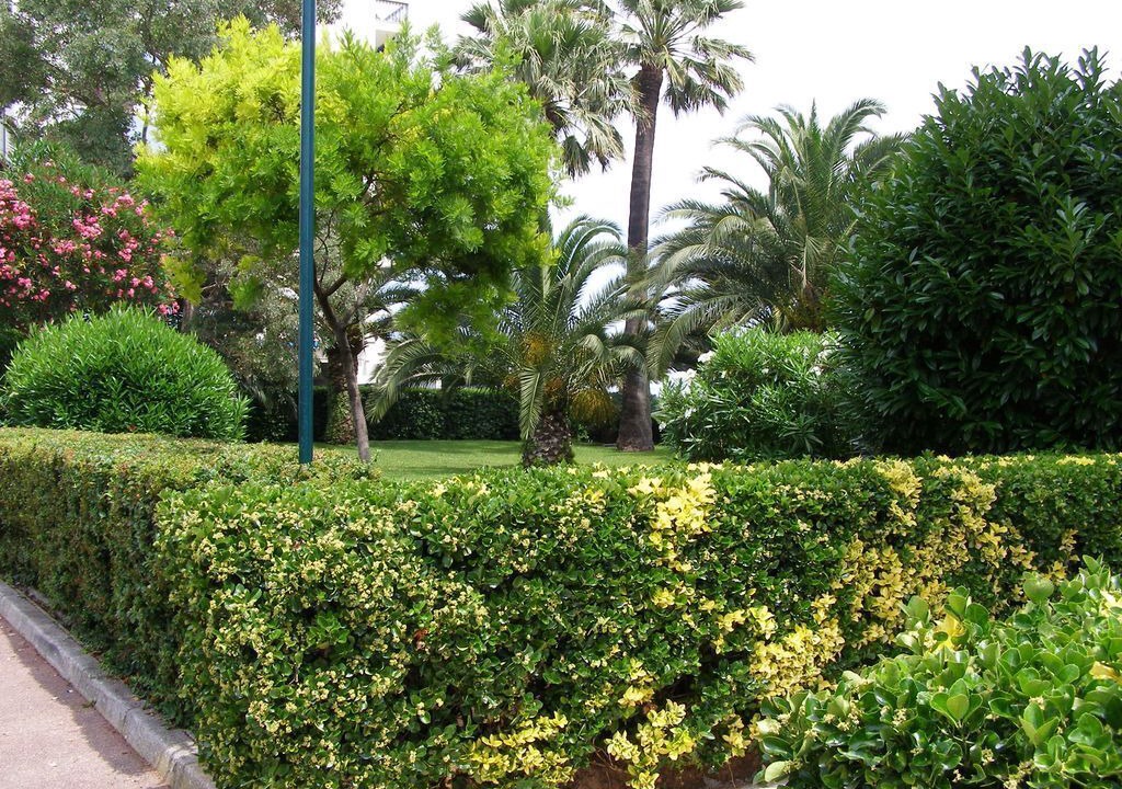 Photo of Outdoor in Cros-de-Cagnes