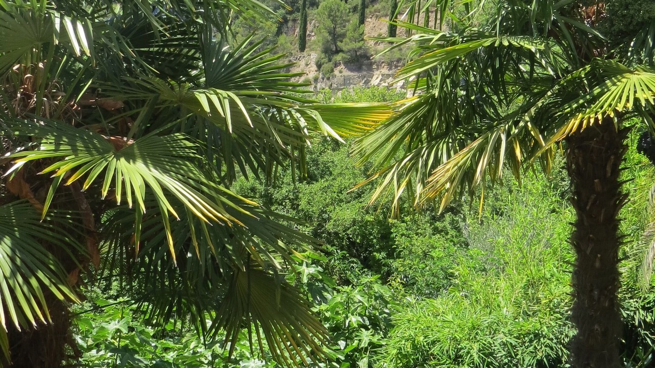 Photo of Outdoor in Contes
