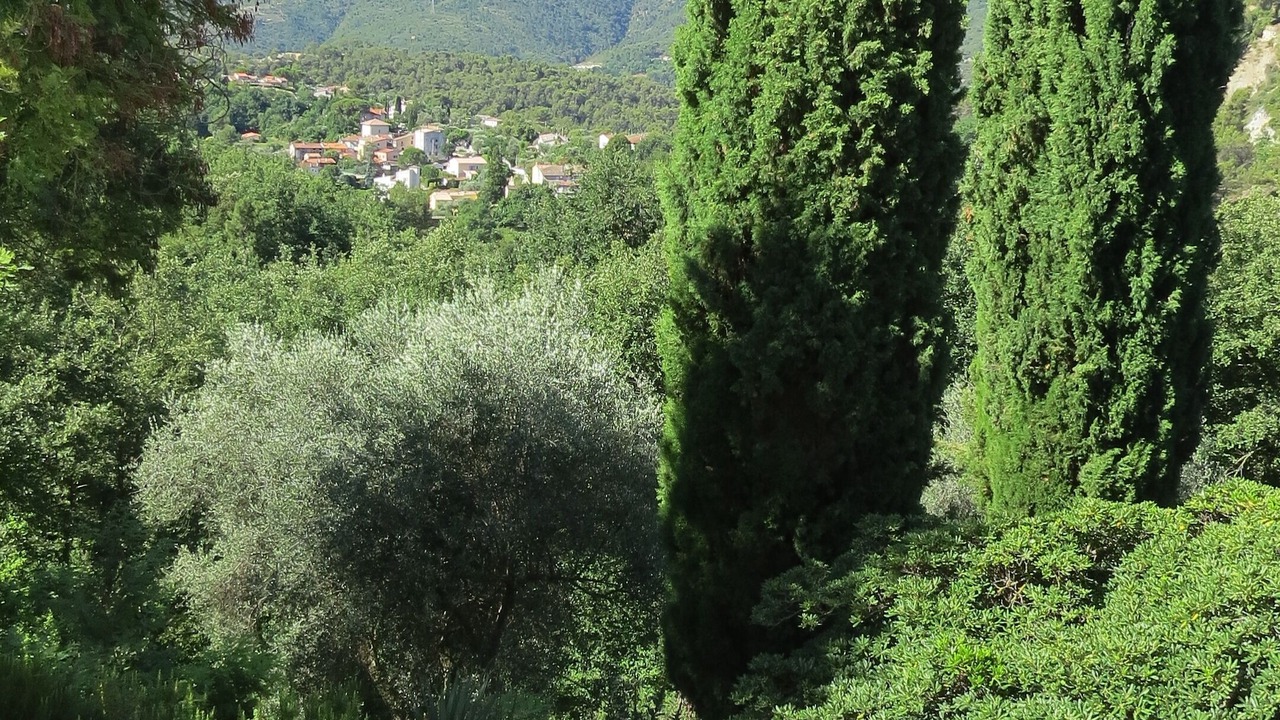 Photo of Outdoor in Contes